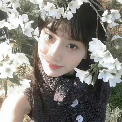 烟花泪